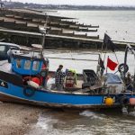 Boat Salvage and Recovery