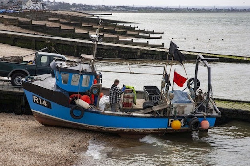 Boat Salvage and Recovery